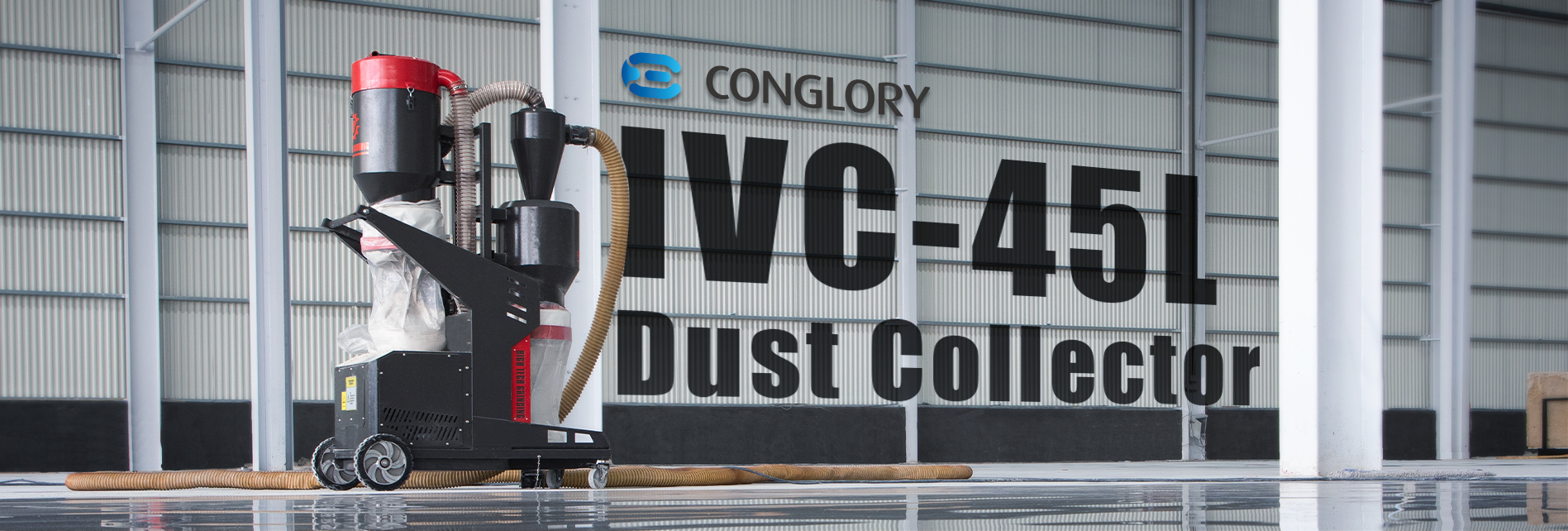  Dust